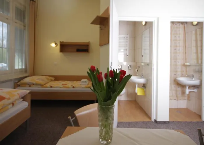 Piast Studenckie Kraków